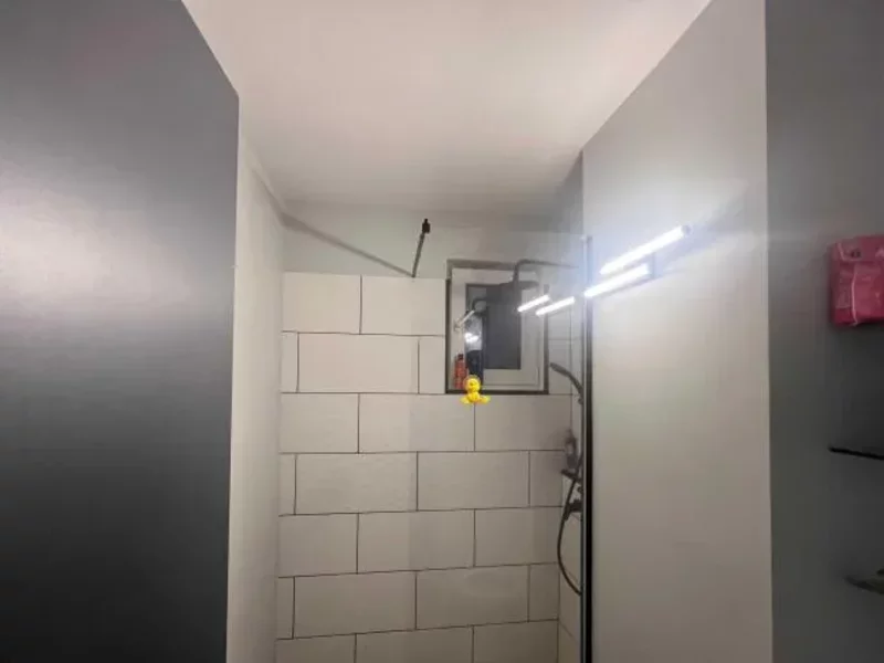 Baba Novac- langa parcul IOR